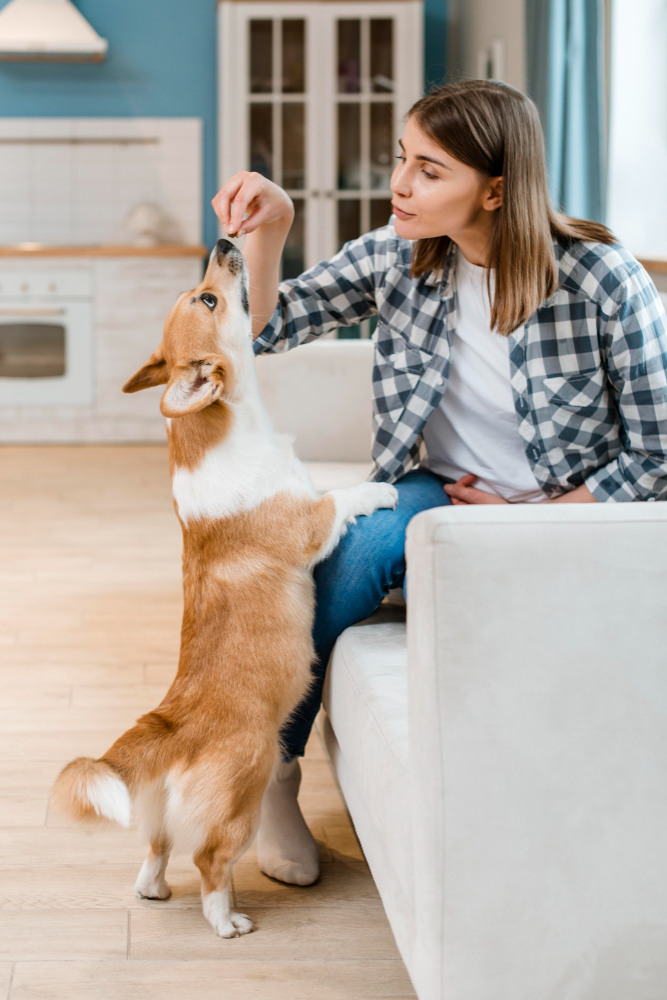 Couch Cleaning Services in Rowville 1 Couch Cleaning Services in Rowville