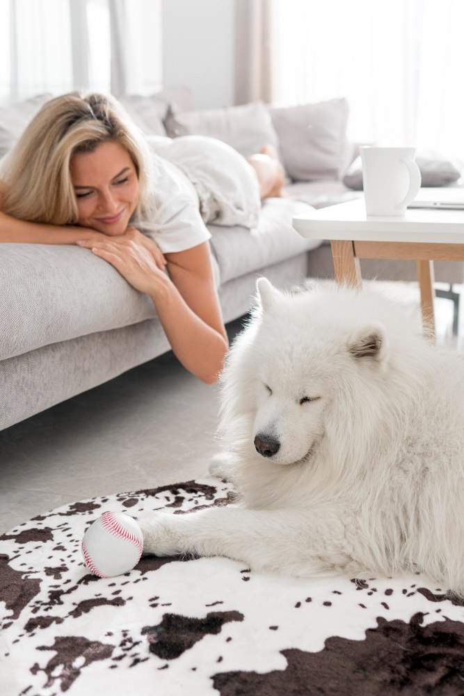 Pet Stain Removal Services Near Me 1 Pet Stain Removal Services Near Me
