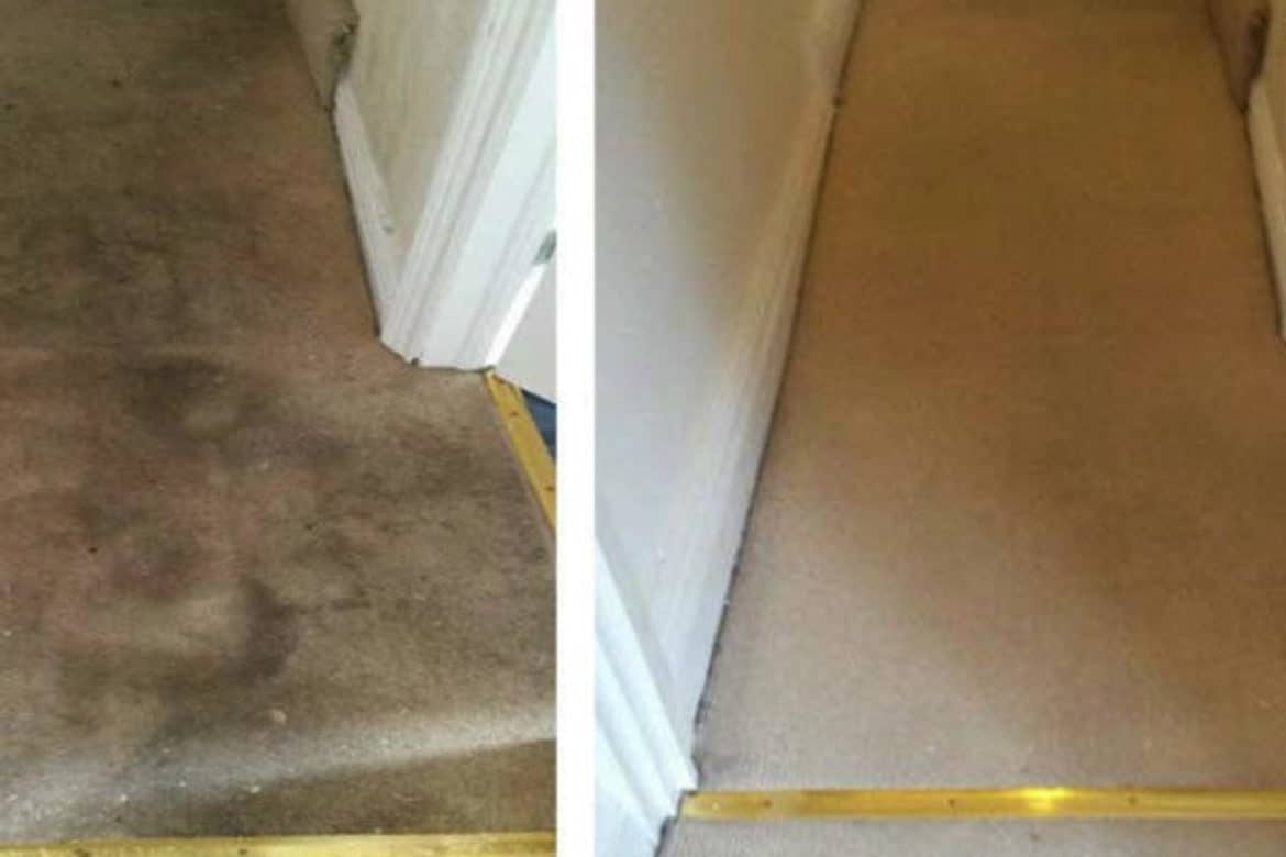 Carpet & Rug Steam Cleaning