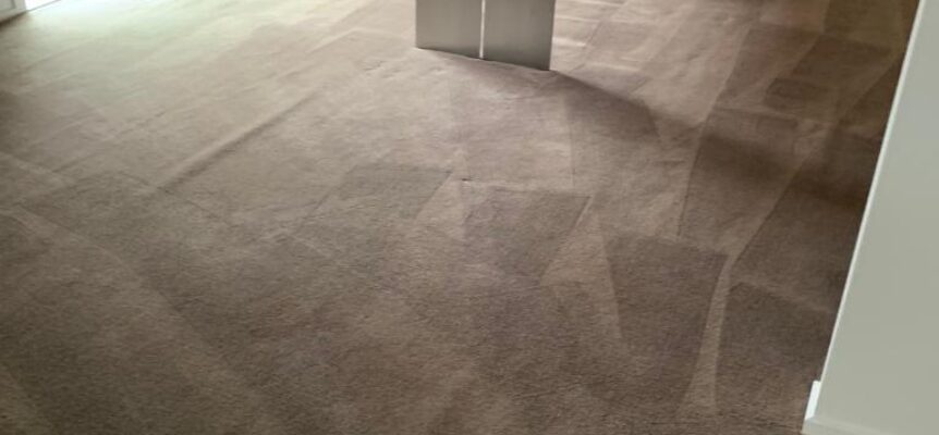 Carpet Cleaning Malvern