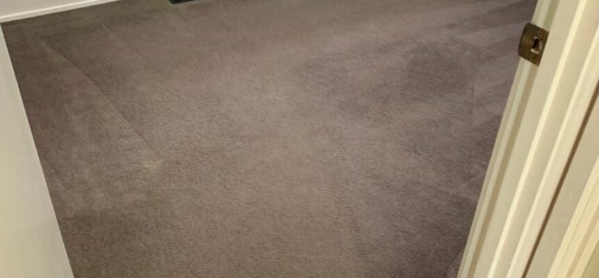 Carpet Cleaning Glen Waverley