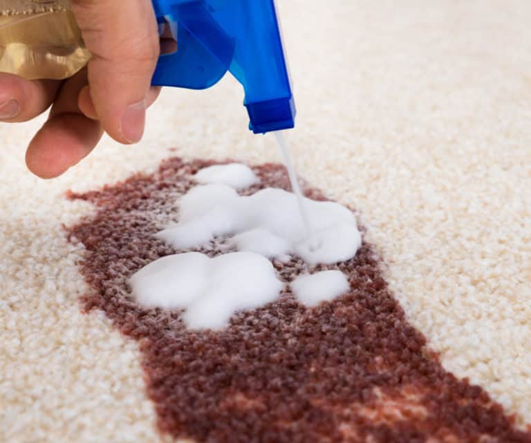 Stain Removal Melbourne | Pet Stain Removal Melbourne