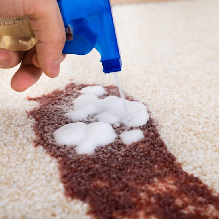 Stain Removal Melbourne | Pet Stain Removal Melbourne