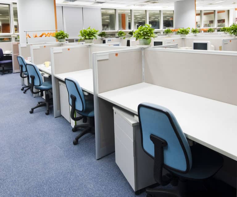 Commercial Office Steam Cleaning | Commercial Office Cleaning