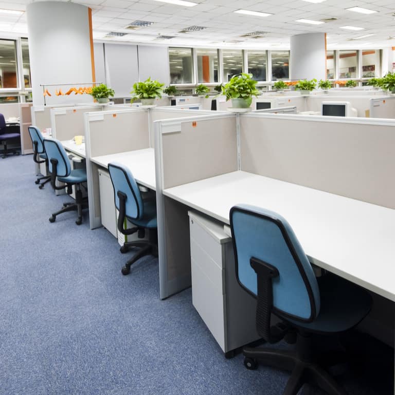 Commercial Office Steam Cleaning | Commercial Office Cleaning