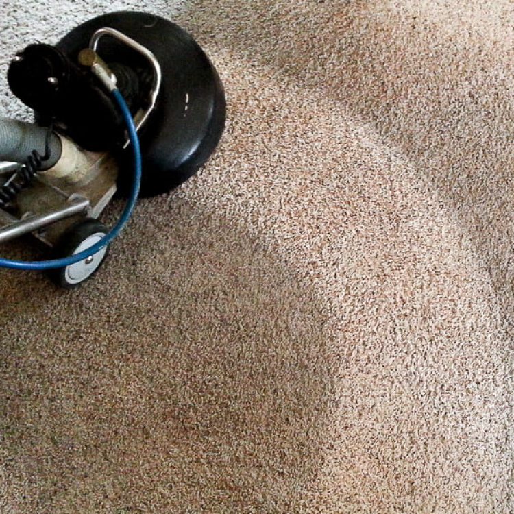 Commercial Cleaning Services Booroondara