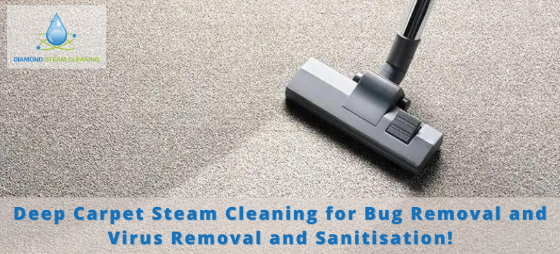 Deep Carpet Steam Cleaning for Bug Removal and Virus Removal and Sanitisation!
