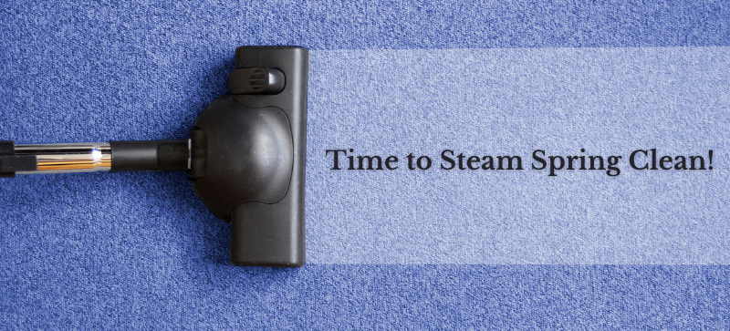 Time to Steam Spring Clean!