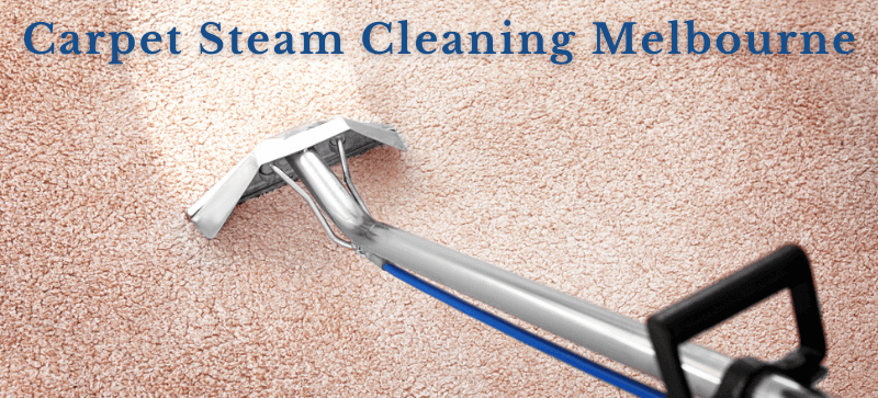 Best Carpet Cleaner Melbourne (1)