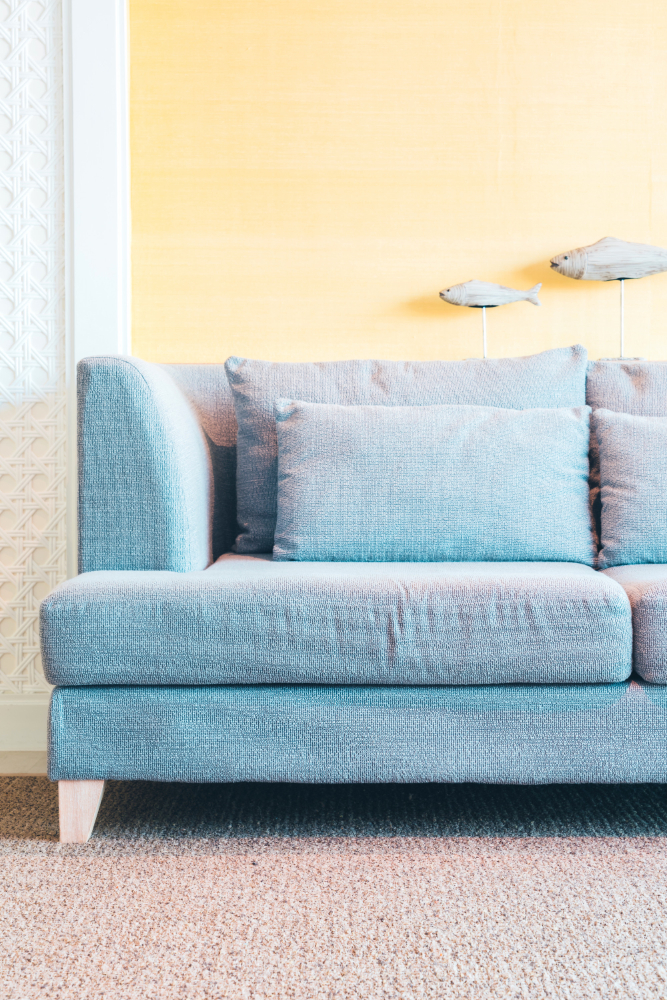 Couch Cleaning in Mount Waverley