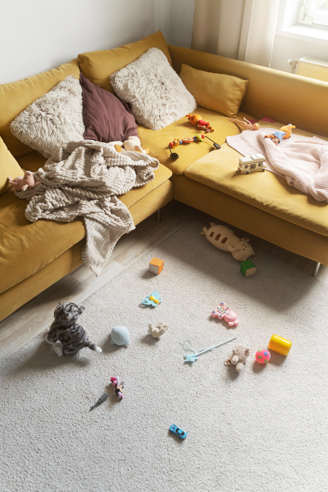 Couch Cleaning in Parkdale