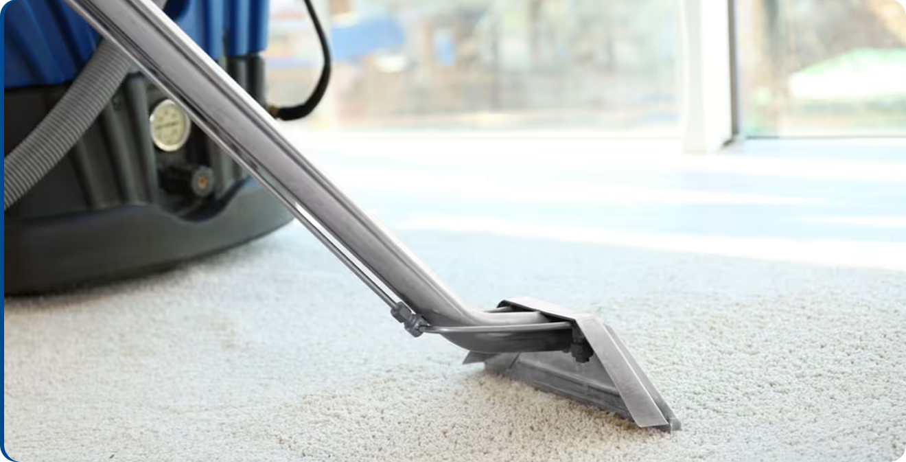 Office Steam Cleaning